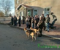 Состоялось открытие состязаний гончих собак памяти Н. Кишенского