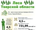 Международный день лесов 2022