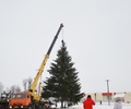 В Кувшинове устанавливают новогоднюю елку