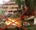 Из-за погодных условий в Тверском регионе вводится запрет на посещение лесов