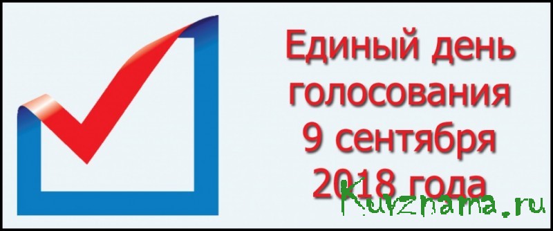 Председатель избирательной комиссии Тверской области рассказала о предварительных результатах выборов