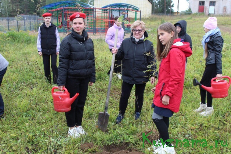 В рамках акции «Сохраним лес» в Тверской области высажено порядка 128 тысяч саженцев деревьев и кустарников
