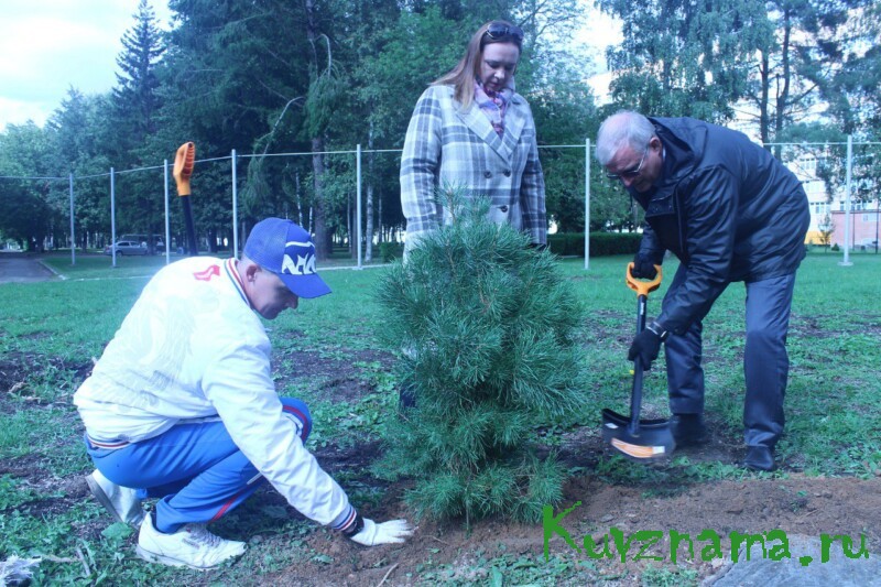 В рамках акции «Сохраним лес» в Тверской области высажено порядка 128 тысяч саженцев деревьев и кустарников