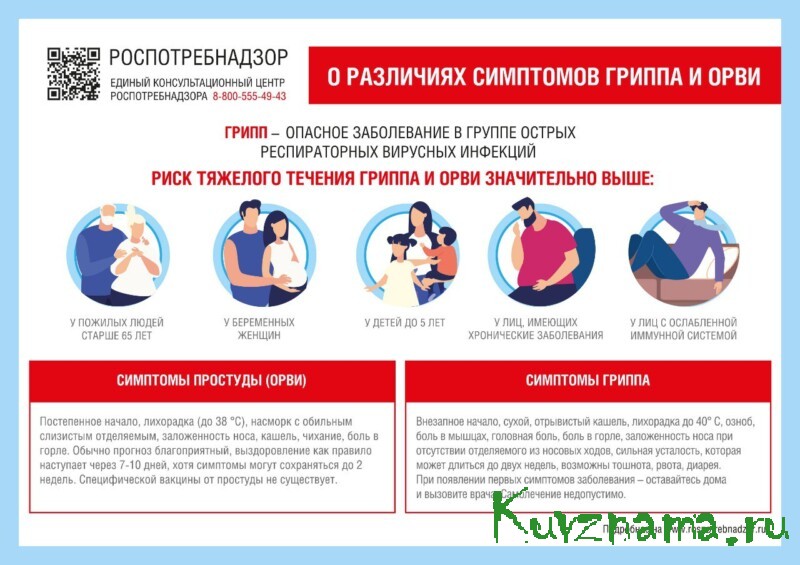 Жителям Тверской области рассказали, что нужно делать при появлении признаков гриппа и ОРВИ