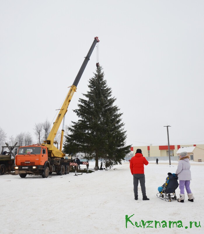 В Кувшинове устанавливают новогоднюю елку