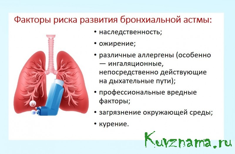 Неделя сохранения здоровья легких(в честь Всемирного дня по борьбе с астмой 7 мая )