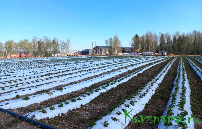 В Тверской области реализуются новые инвестиционные проекты в сфере агротуризма